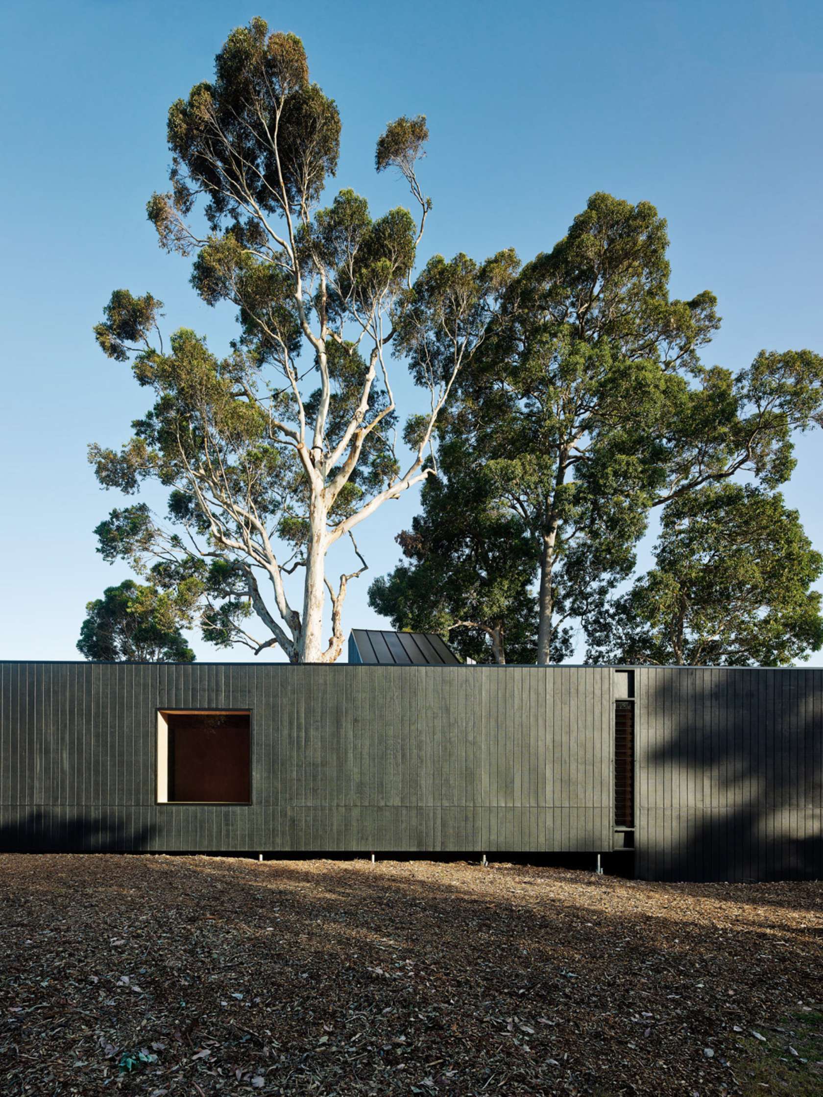 The Karri Loop House